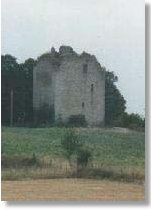Ruines du donjon